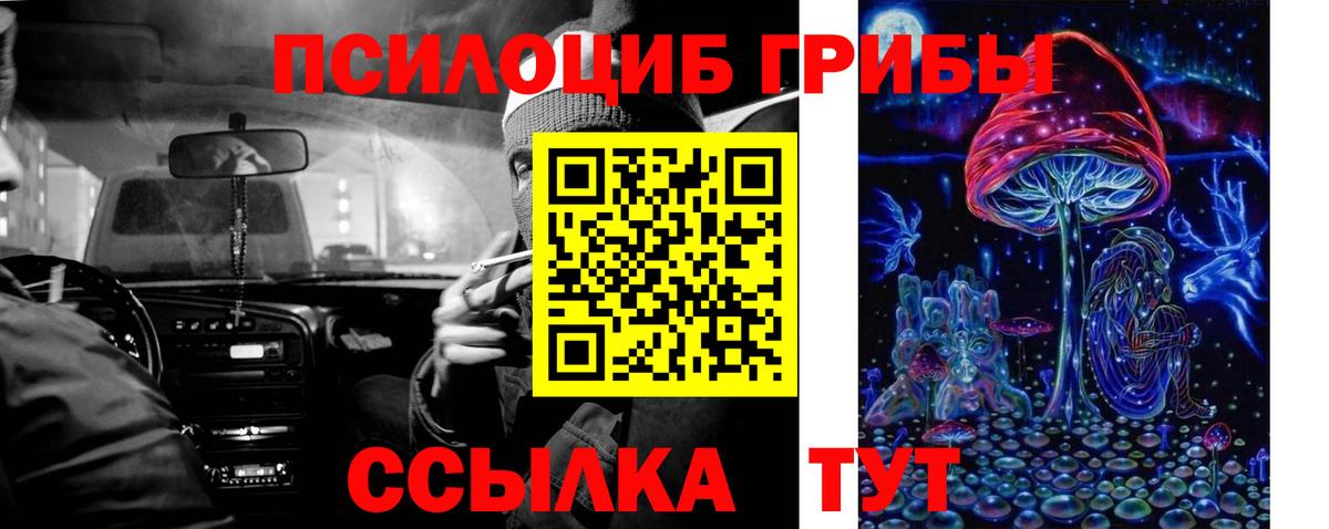 продажа наркотиков  Галлюциногенные грибы Psilocybine cubensis  Вход с VPN  Осинники 