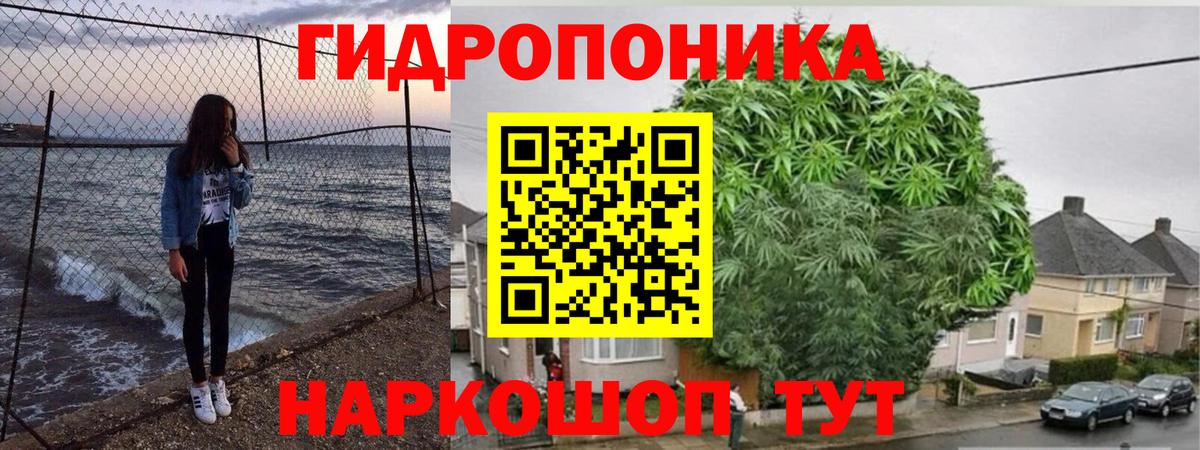 МАРИХУАНА конопля  Вход с VPN  Шишки марихуана конопля  Осинники 